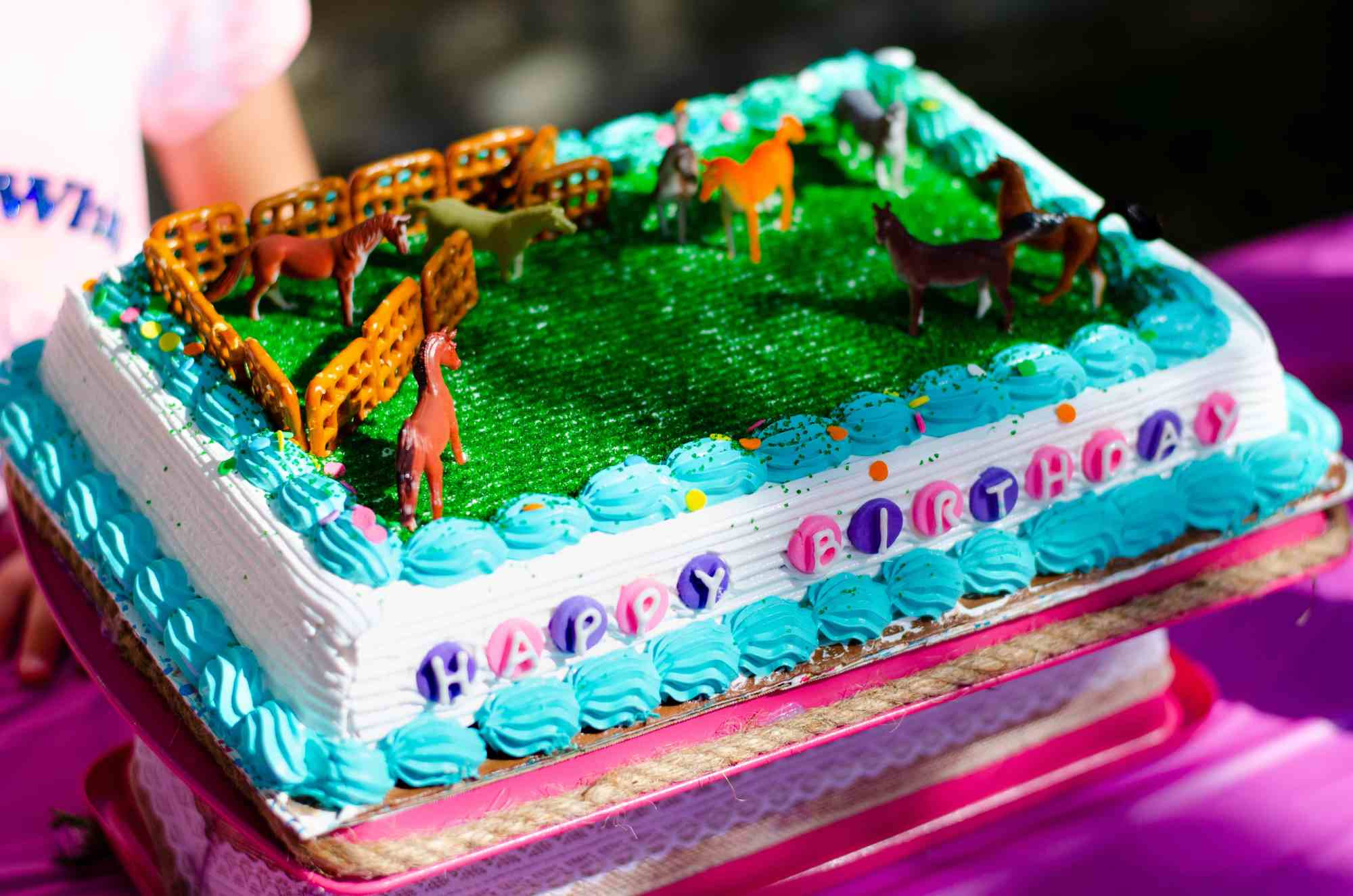 Carvel Birthday Cakes
 Horse Birthday CARVEL Ice Cream Cake saves the day
