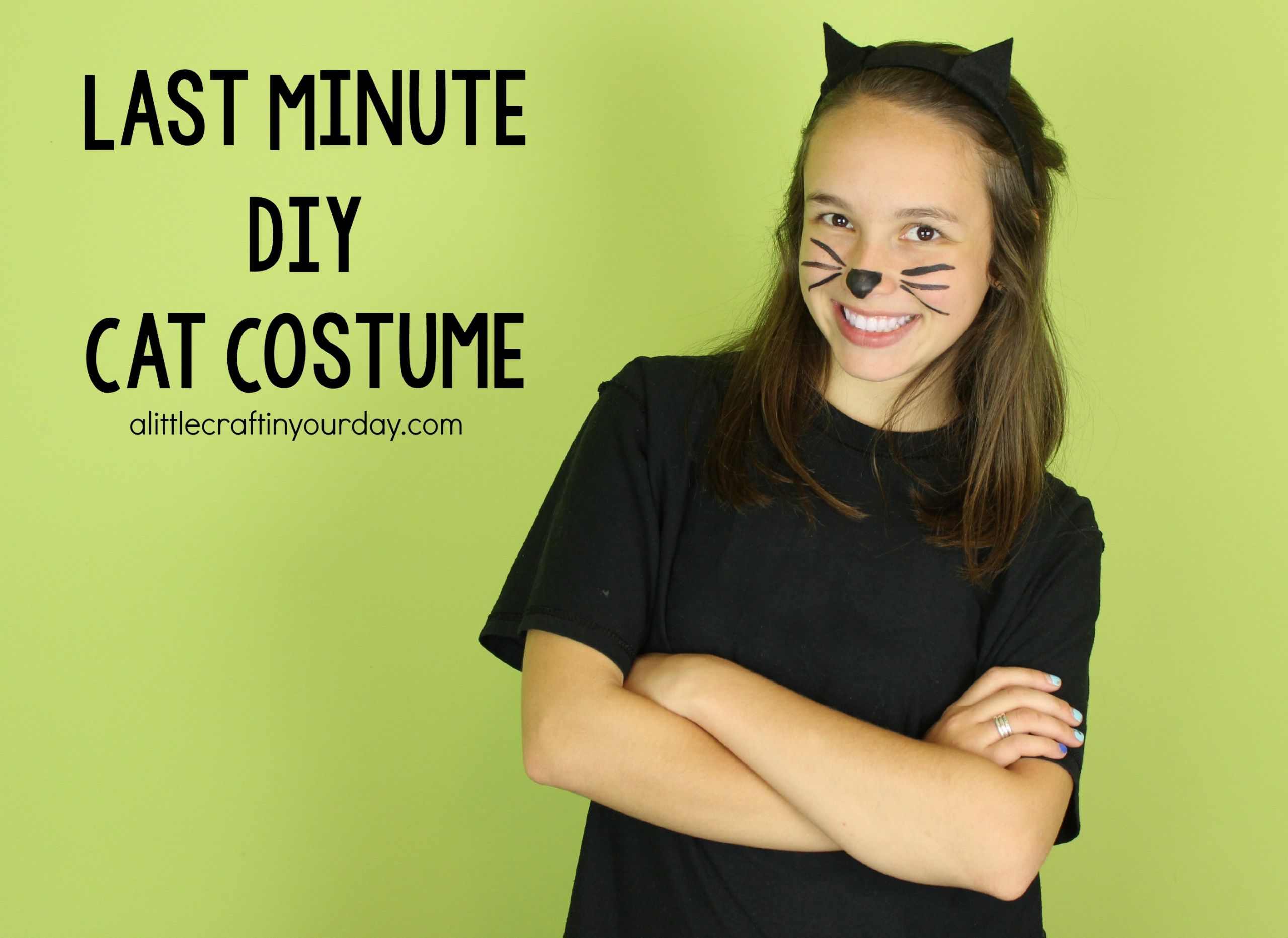 Cat Costume DIY
 DIY Cat Costume A Little Craft In Your Day