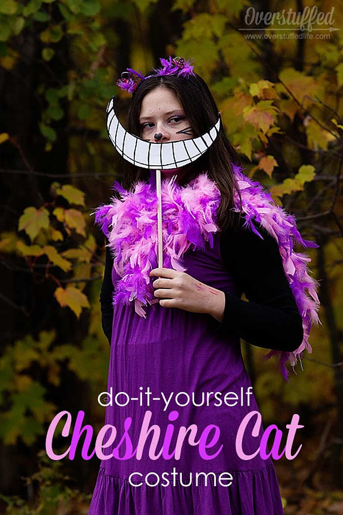 Cat Costume DIY
 Top 10 Cheshire Cat Costume Ideas For Halloween