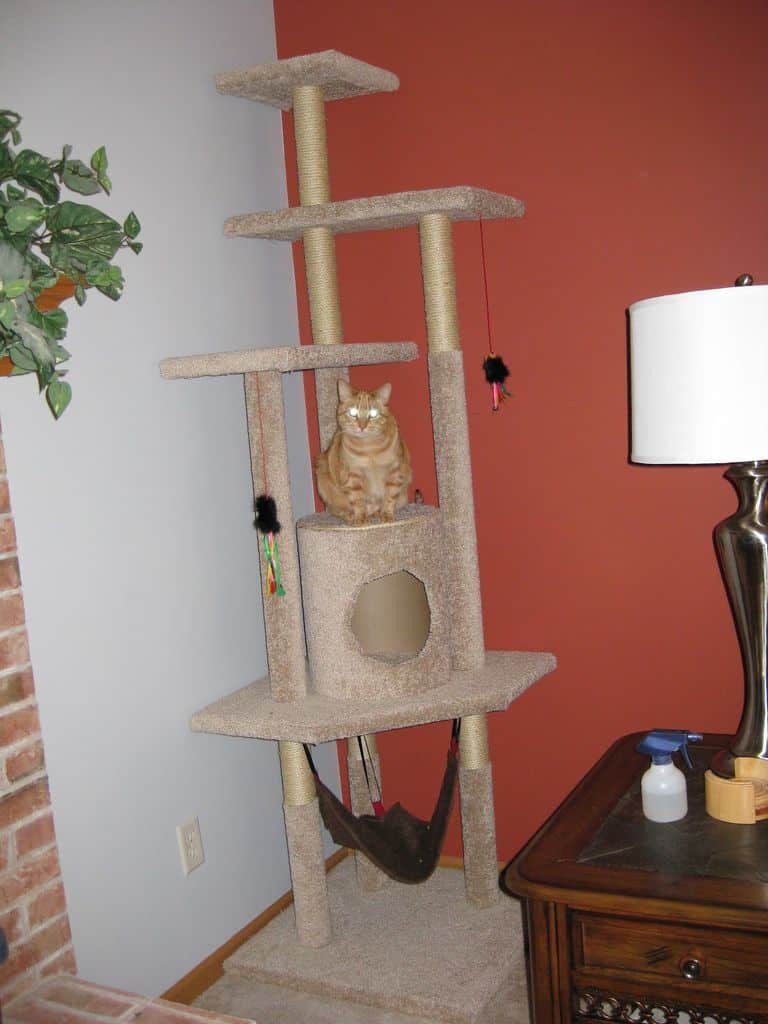 Cat Tree DIY Plans
 19 Adorable Free Cat Tree Plans For Your Furry Friend