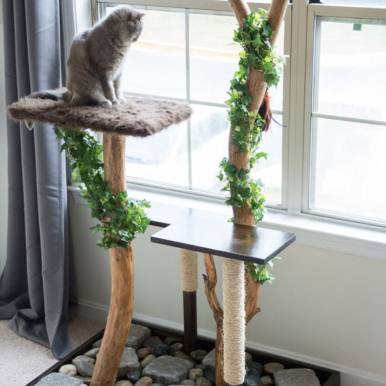 Cat Tree DIY Plans
 8 DIY Cat Tree Plans You Can Get for Free