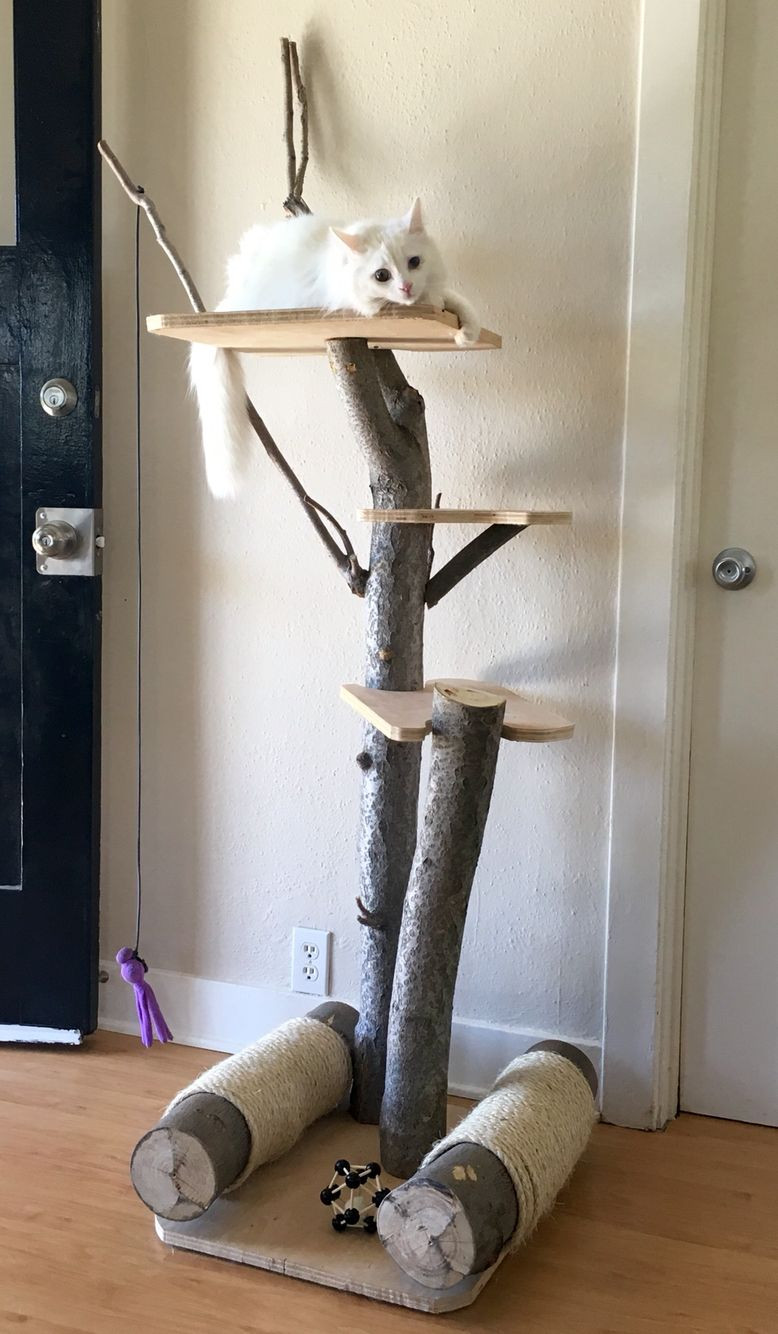 Cat Tree DIY Plans
 Free Cat Tree Plans