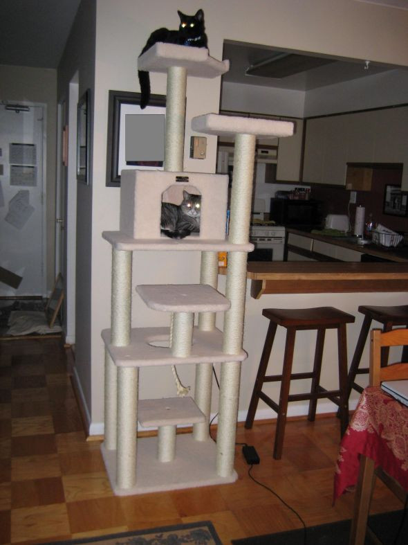 Cat Tree DIY Plans
 Build a furniture with plan This is Floor to ceiling cat