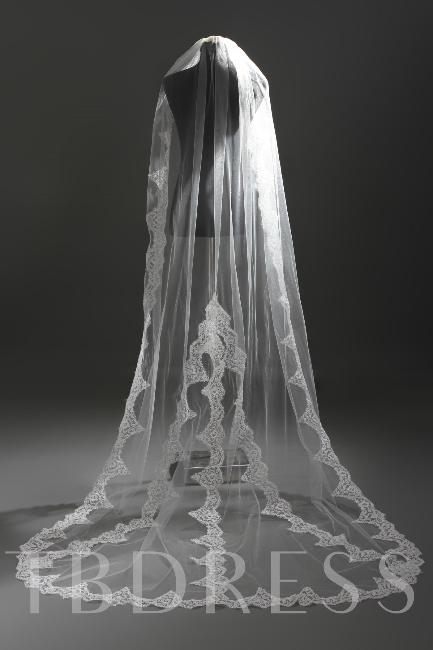 Cathedral Style Wedding Veils
 Cathedral Style Wedding Veil Tbdress