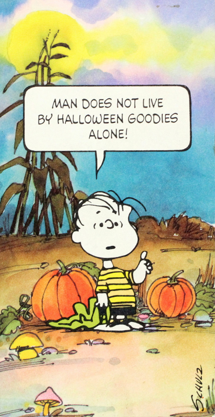 Charlie Brown Thanksgiving Quotes
 Snoopy Thanksgiving Quotes QuotesGram