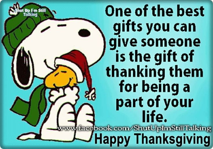 Charlie Brown Thanksgiving Quotes
 Snoopy Hug Woodstock Thanksgiving Quote s