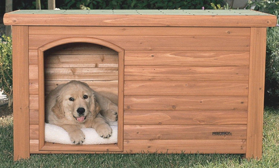 Cheap DIY Dog House
 How to build a cheap small dog house shed designs australia