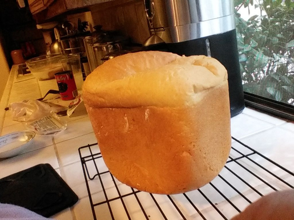 Cheese Bread Recipe For Bread Machine
 Cottage Cheese Bread Machine Bread Recipe