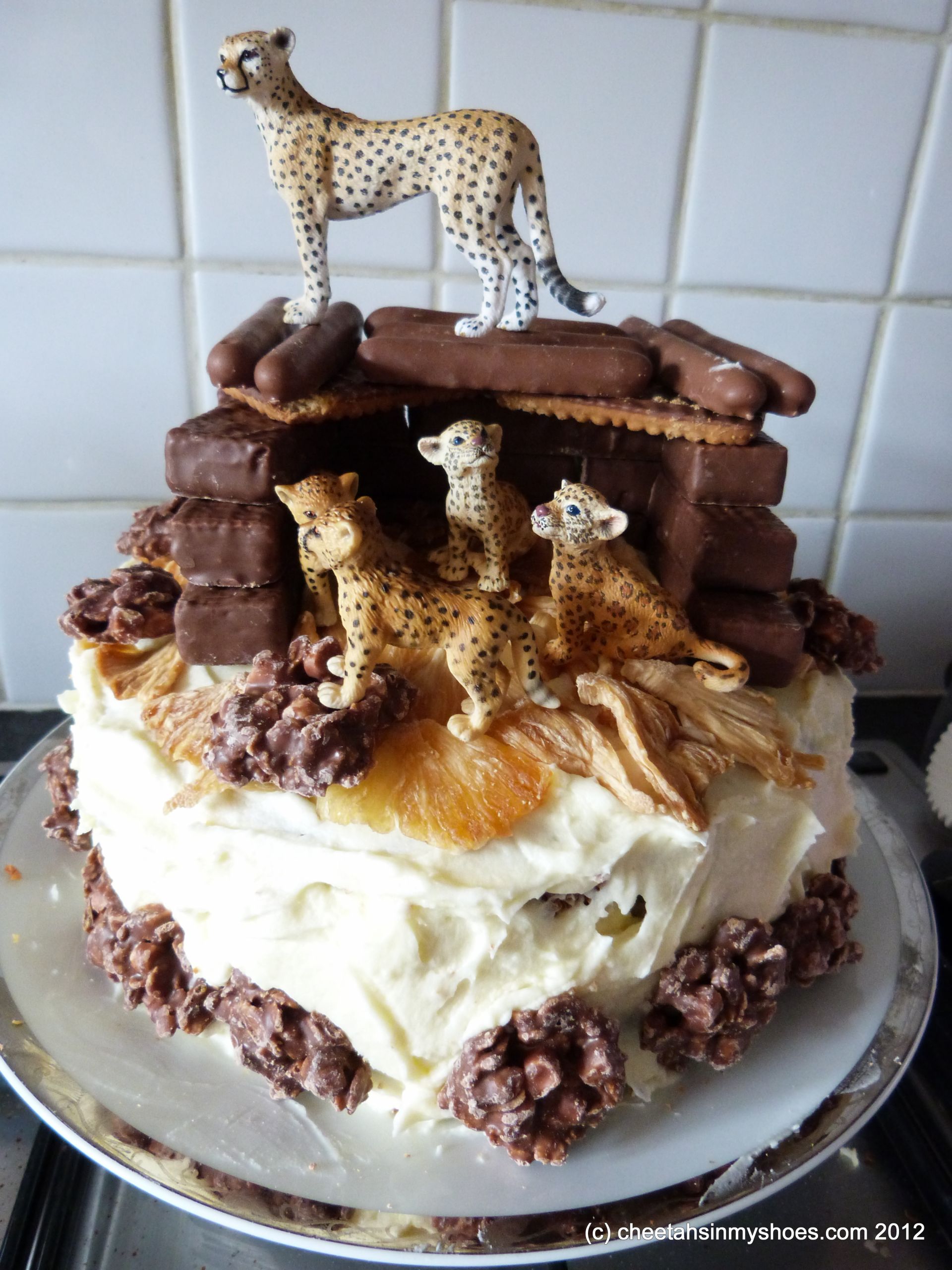 Cheetah Birthday Cake
 You’re Beautiful – Chosen by the Cheetah Keeper
