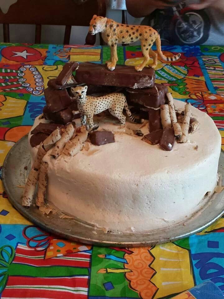 Cheetah Birthday Cake
 Boy cheetah cake