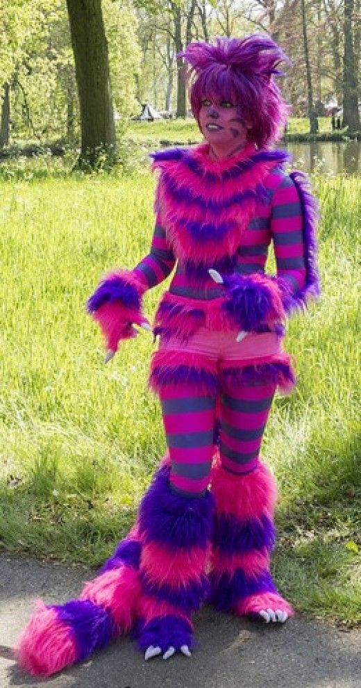 Cheshire Cat Costume DIY
 Cheshire Cat Costume