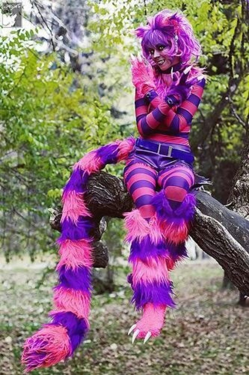 Cheshire Cat Costume DIY
 30 DIY Halloween Costume Ideas