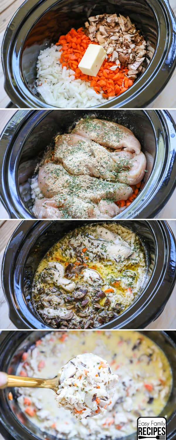 Chicken And Wild Rice Soup Crock Pot
 Crock Pot Chicken Wild Rice Soup · Easy Family Recipes