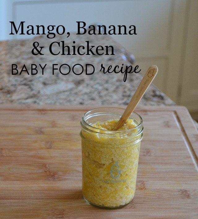 Chicken Baby Food Recipe
 Yummy Summery Stage Two Baby Food Recipes Project Nursery