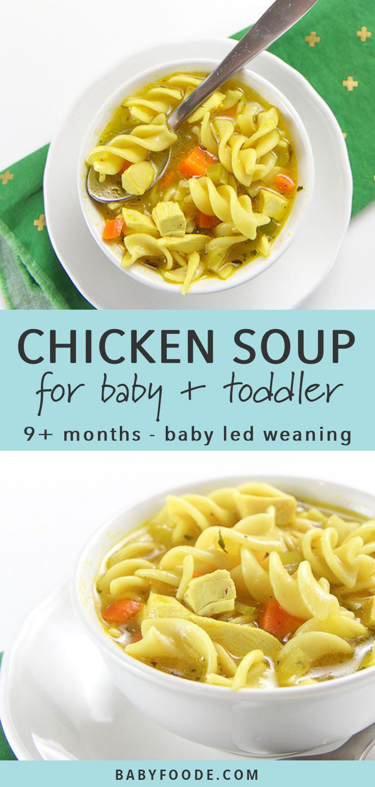 Chicken Noodle Soup For Baby
 Baby s First Chicken Noodle Soup