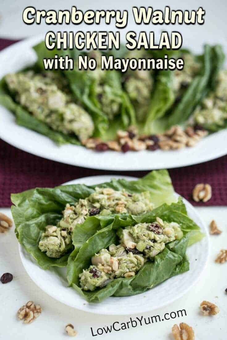 Chicken Salad No Mayonnaise
 Cranberry Walnut Chicken Salad with No Mayonnaise