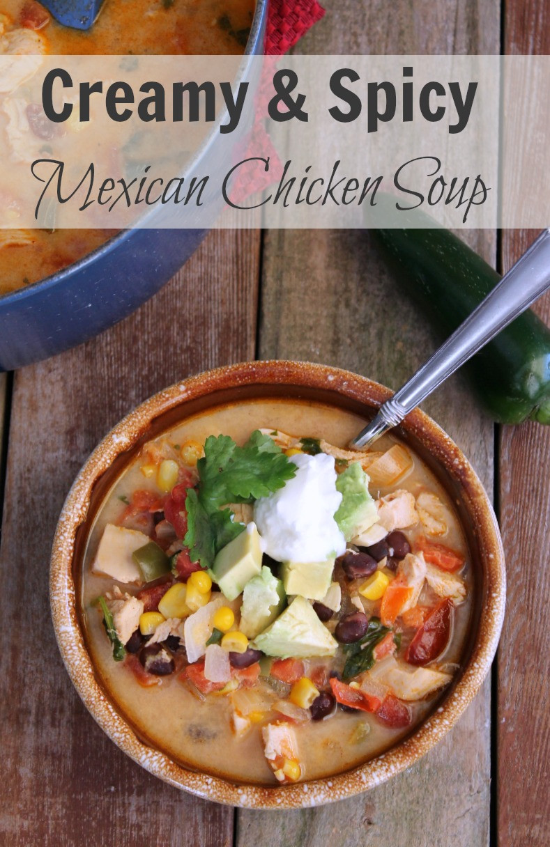 Chicken Soup Mexican
 Creamy and Spicy Mexican Chicken Soup