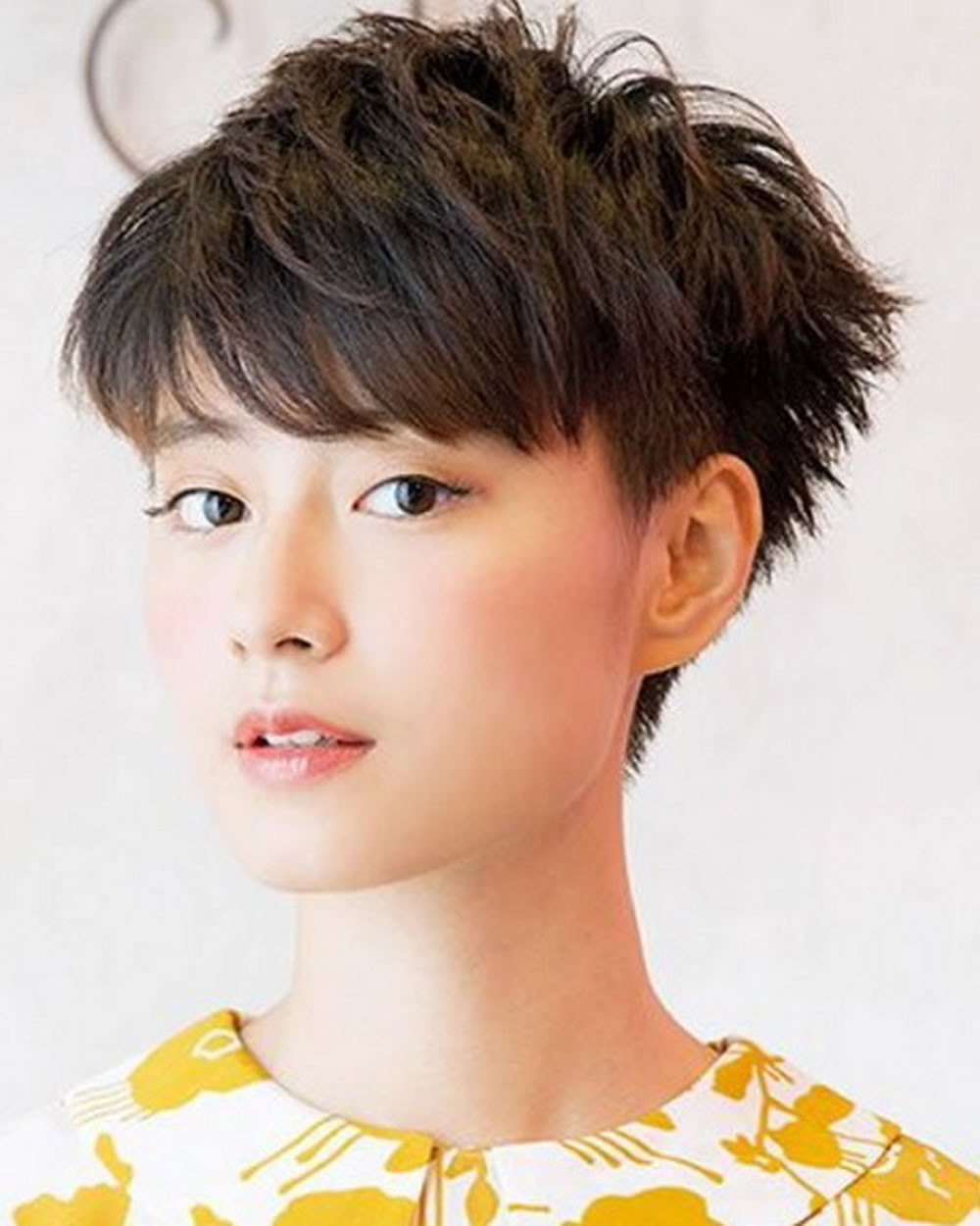 Chinese Hairstyles Female
 Pixie Haircuts for Asian Women