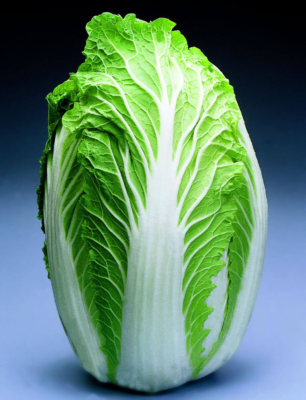 Chinese Napa Cabbage Recipes
 Chinese Napa Cabbage Mild Flavor & Year Round Planting