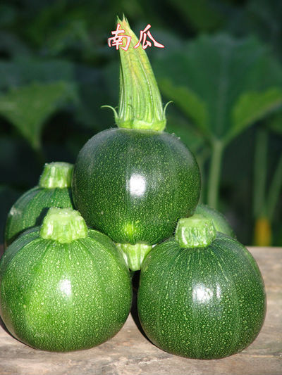 Chinese Pumpkin Seeds
 Chinese Hybrid F1 Green Pumpkin Seeds Ve able Seeds For
