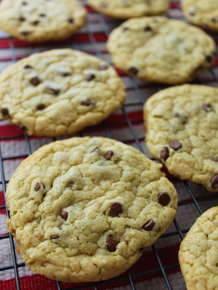 Chocolate Chip Cookies Without Butter Or Oil   Easy No Butter Chocolate Chip Cookies Recipe The Frugal