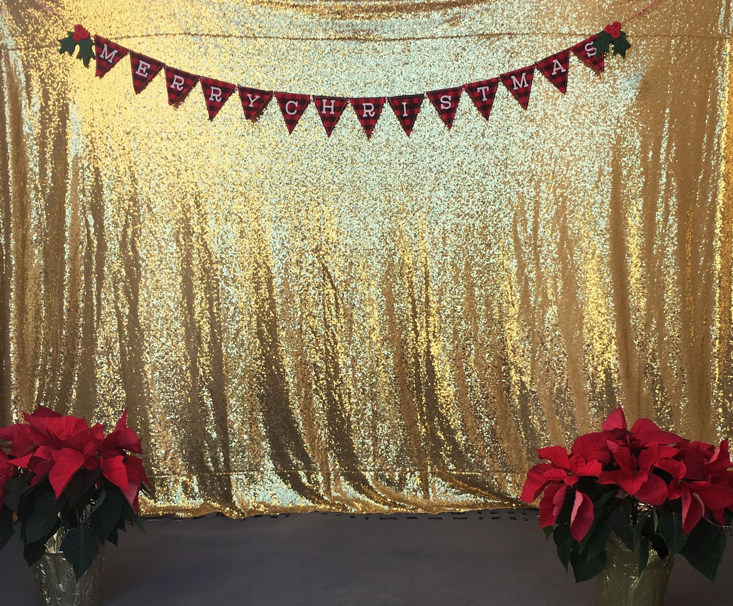 Christmas Backdrops DIY
 DIY Christmas photo backdrop Gold sequin table cloth