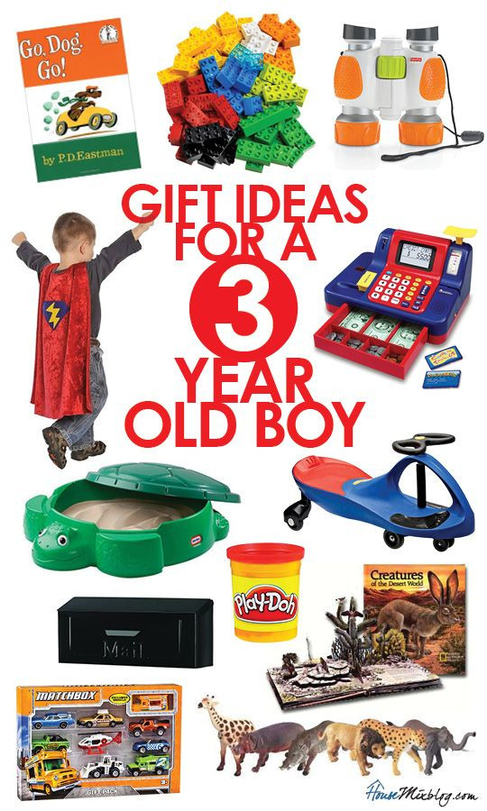 Christmas Gift Ideas For Toddler Boy
 Gift ideas for 3 year old boys