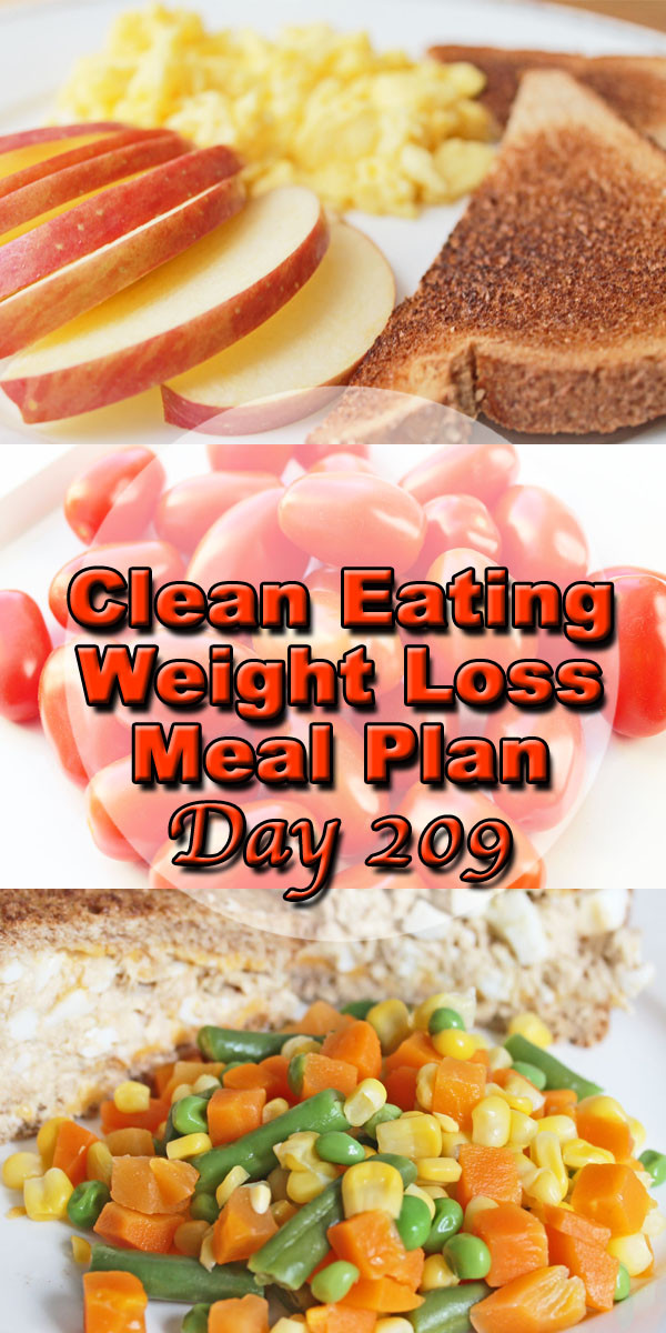 Clean Eating Weight Loss Plan
 Clean Eating Weight Loss Meal Plan 209