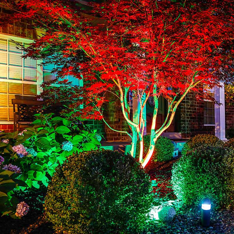 Color Landscape Lights
 LED Landscape Lighting Ideas for Creating an Outdoor Oasis