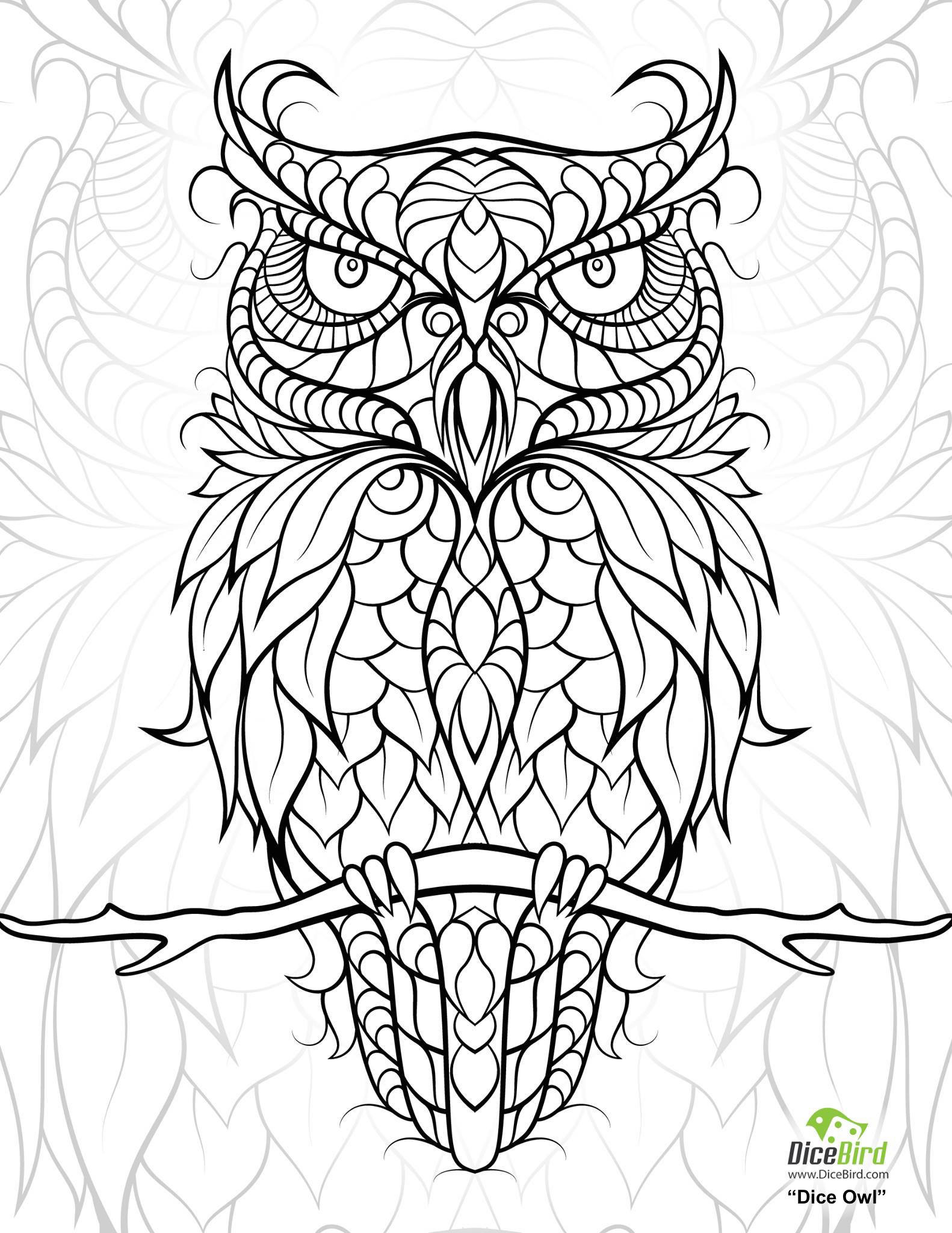 Coloring Books For Adults
 diceowl – Adult Coloring Worldwide