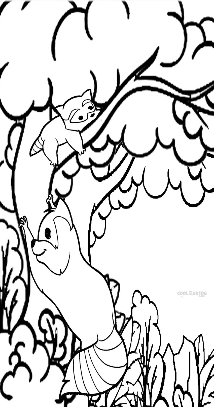 Coloring Books For Children
 Printable Raccoon Coloring Pages For Kids