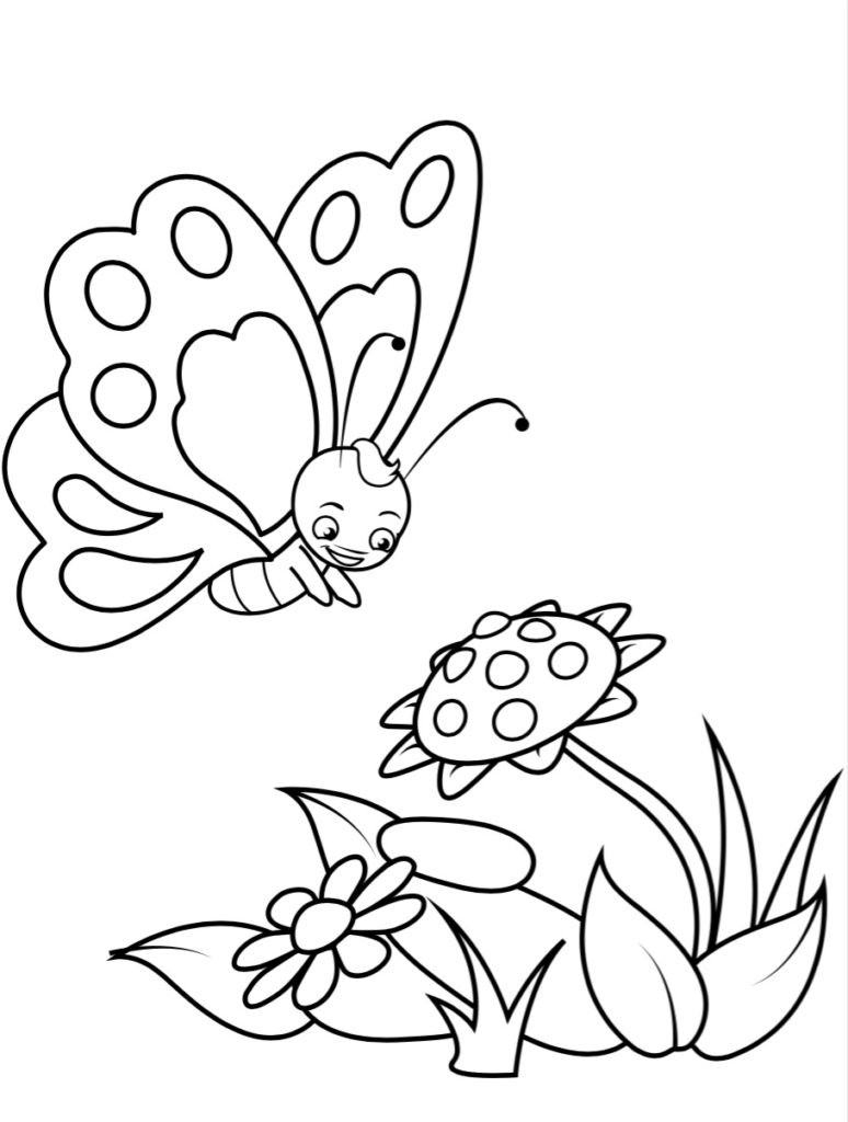 Coloring Books For Children
 Butterfly Colouring Book for young children