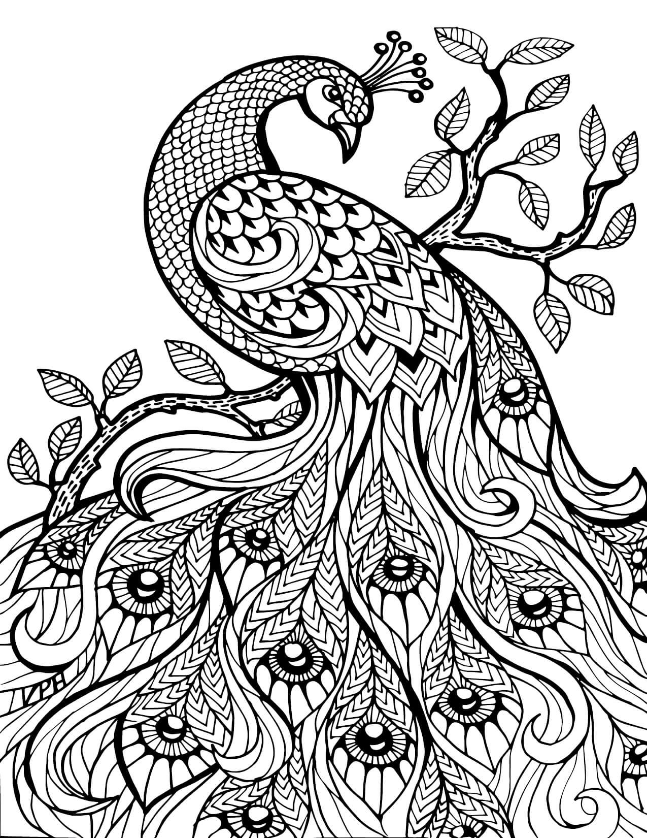 Coloring Pages For Adults Difficult Animals
 Coloring Pages For Adults Difficult Animals 57