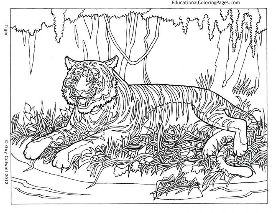 Coloring Pages For Adults Difficult Animals
 Get This Printable Difficult Animals Coloring Pages for