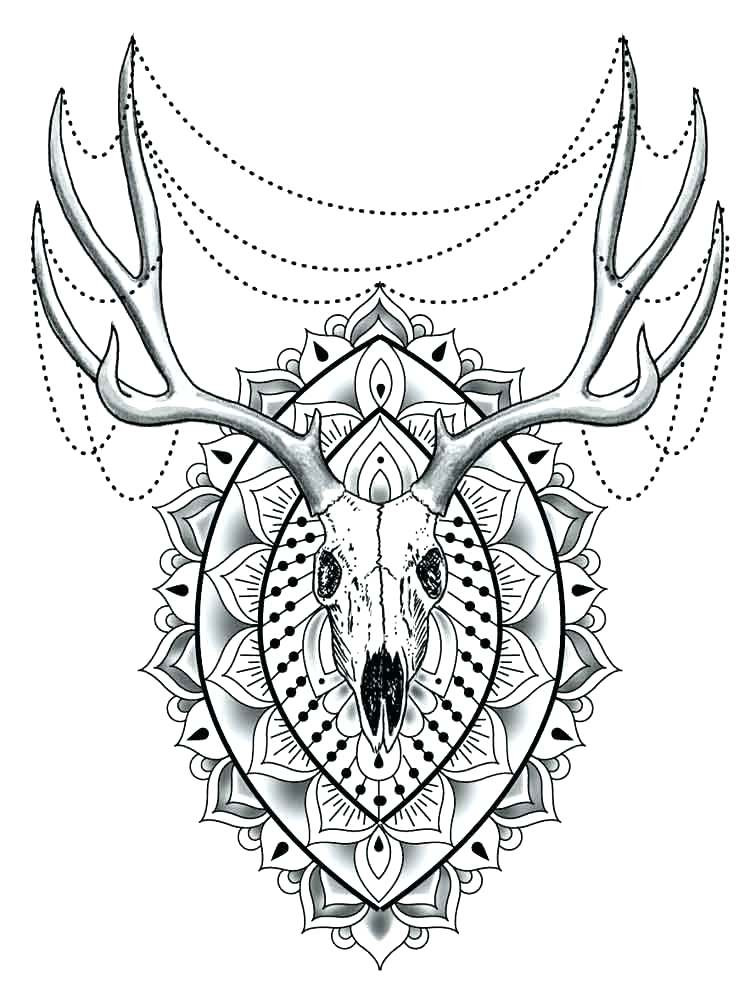 Coloring Pages For Adults Difficult Animals
 Coloring Pages For Adults Difficult Animals at