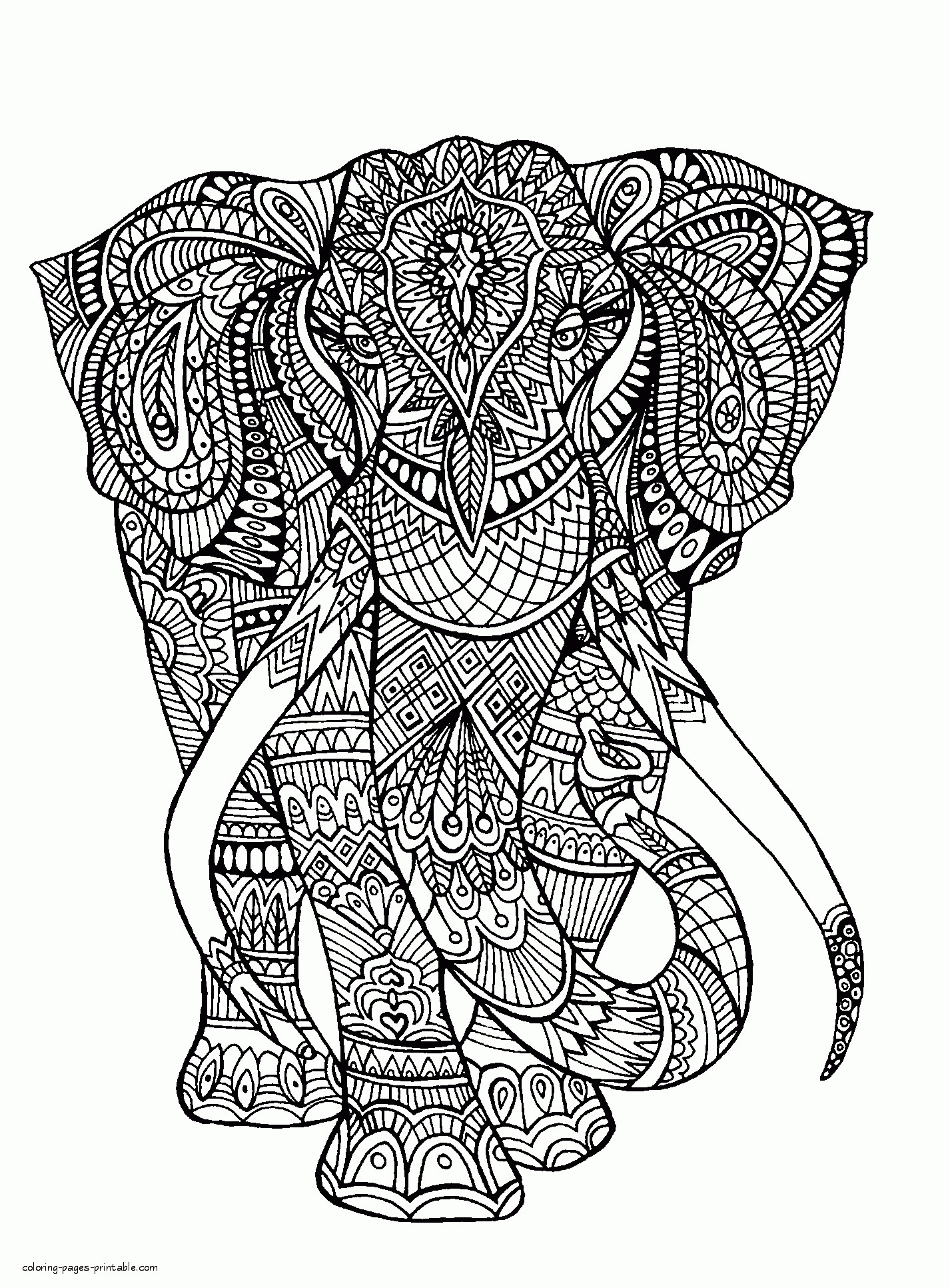 Coloring Pages For Adults Difficult Animals
 Difficult Elephant Colouring Page COLORING PAGES