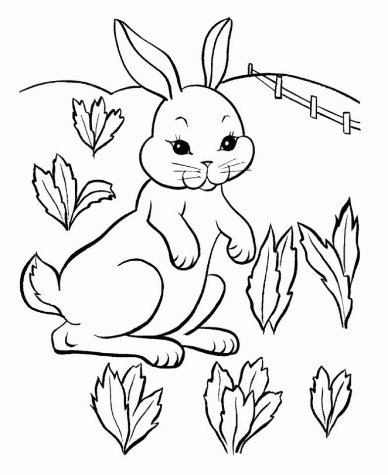Coloring Pages Of Baby Bunnies
 Get This Baby Bunny Coloring Pages for Toddlers