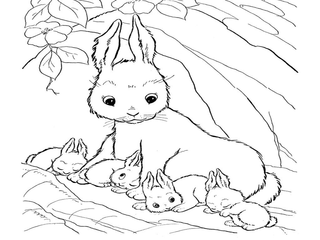 Coloring Pages Of Baby Bunnies
 Cute Bunny Coloring Pages To Print Coloring Home