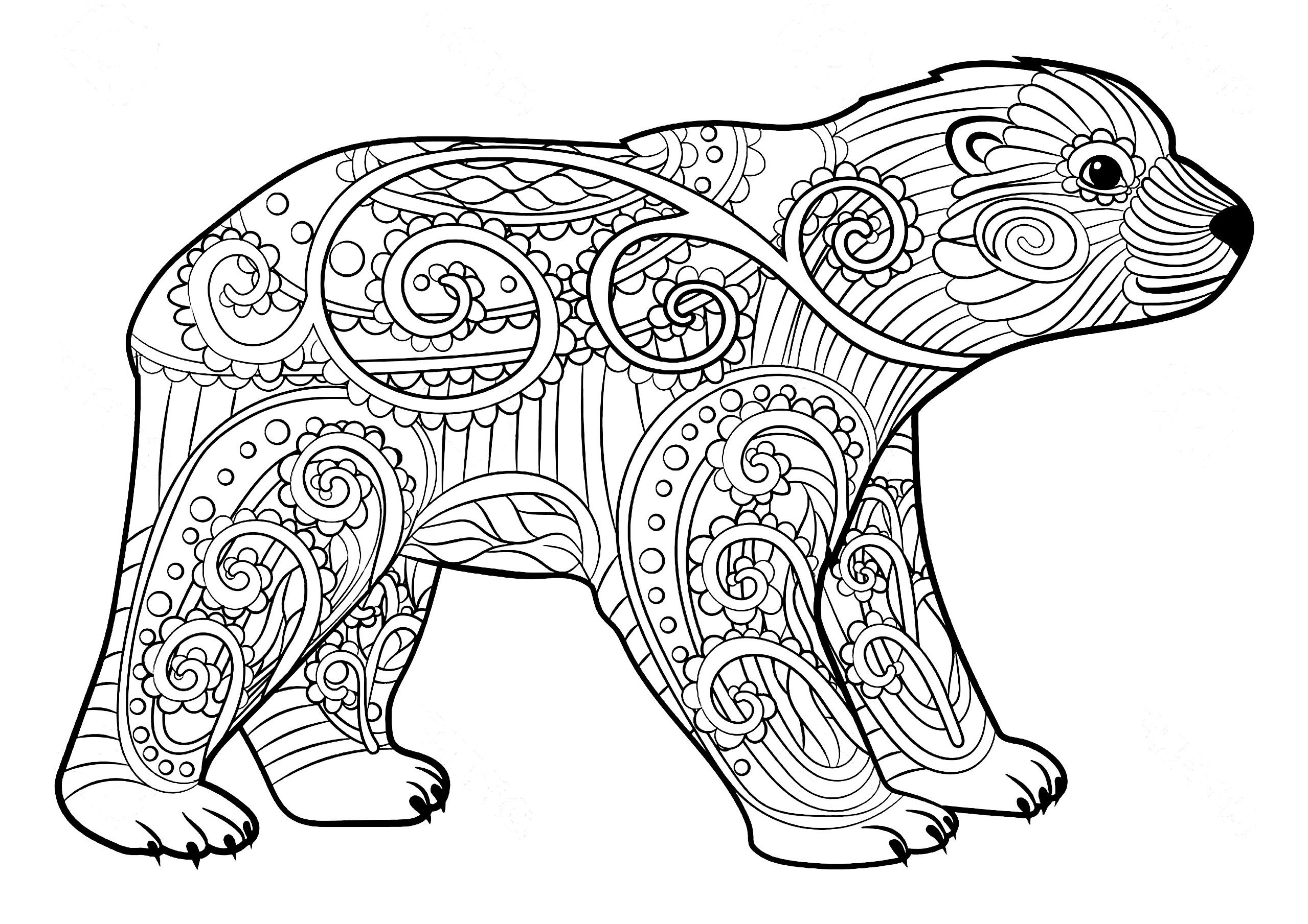 Coloring Websites For Kids
 Bears to color for kids Bears Kids Coloring Pages