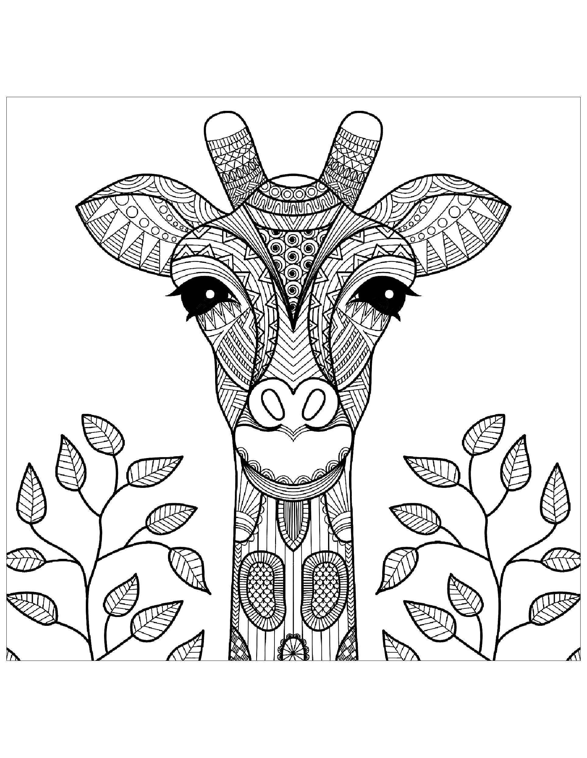 Coloring Websites For Kids
 Giraffes to color for children Giraffes Kids Coloring Pages
