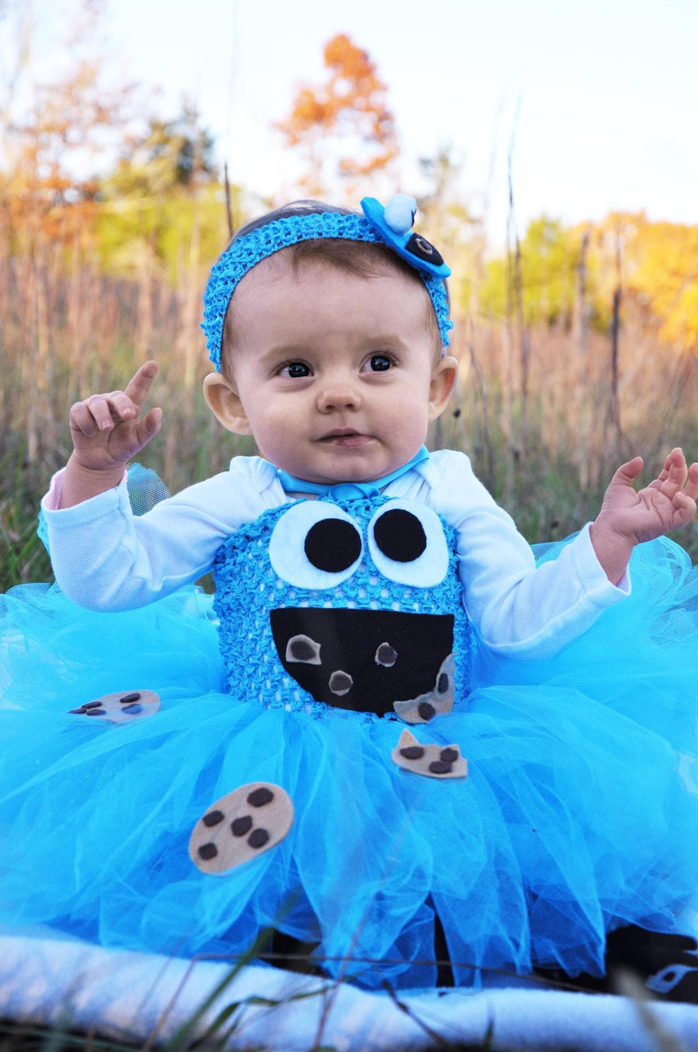 Cookie Monster Costume DIY
 Baby Cookie Monster