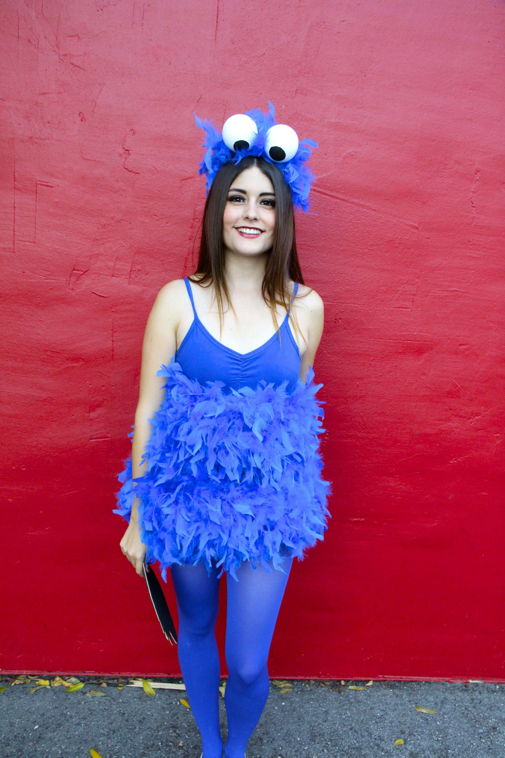 Cookie Monster Costume DIY
 You gotta admit Cookie Monster is probably one of