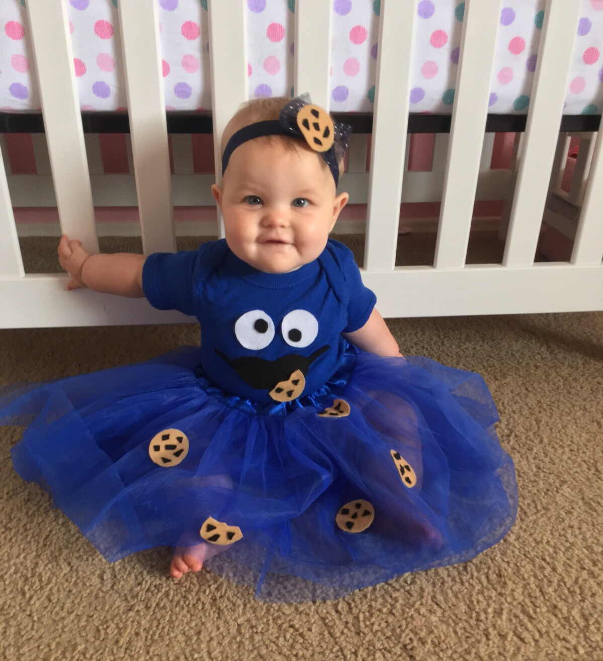 Cookie Monster Costume DIY
 DIY Cookie Monster costume baby & toddler no sewing