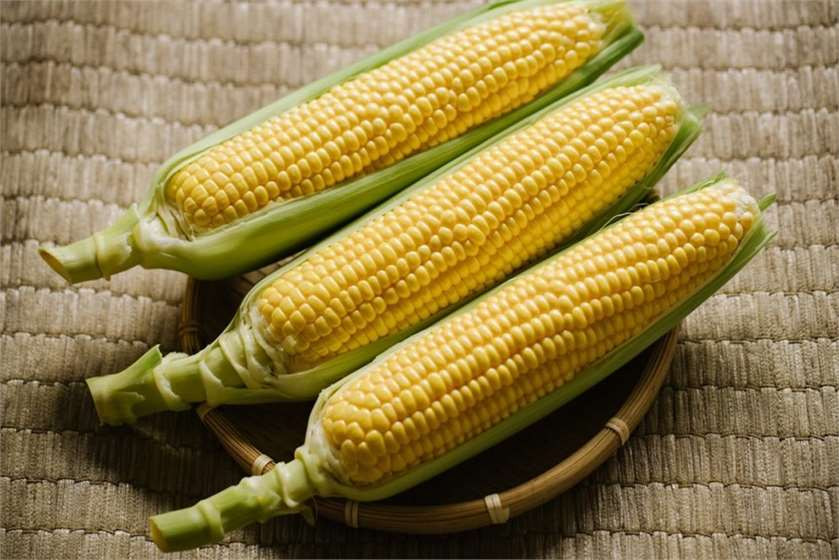 Corn Is A Fruit
 Is Corn a Ve able or Fruit