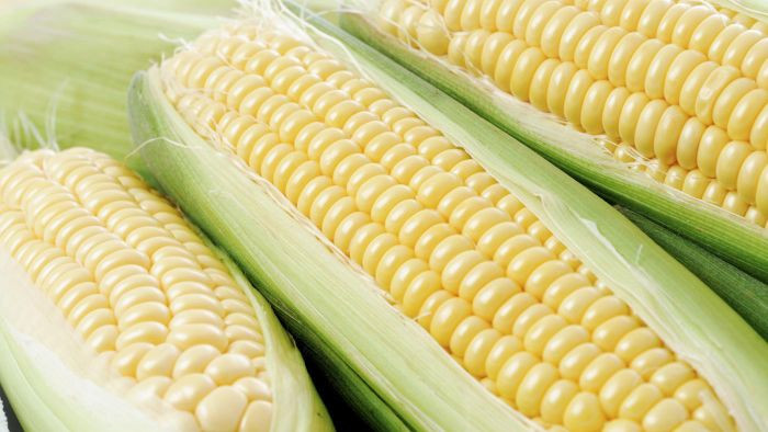 Corn Is A Fruit
 Is Corn Considered a Ve able