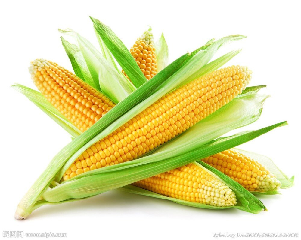 Corn Is A Fruit
 Ve able fruit seeds fresh silver sweet corn seed Sweet