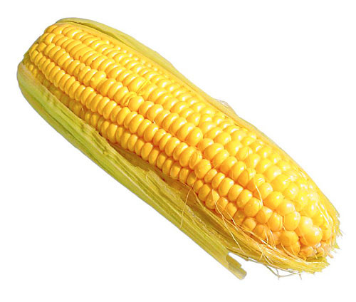 Corn Is A Fruit
 Corn — it’s not a ve able • The Brooklyn Paper