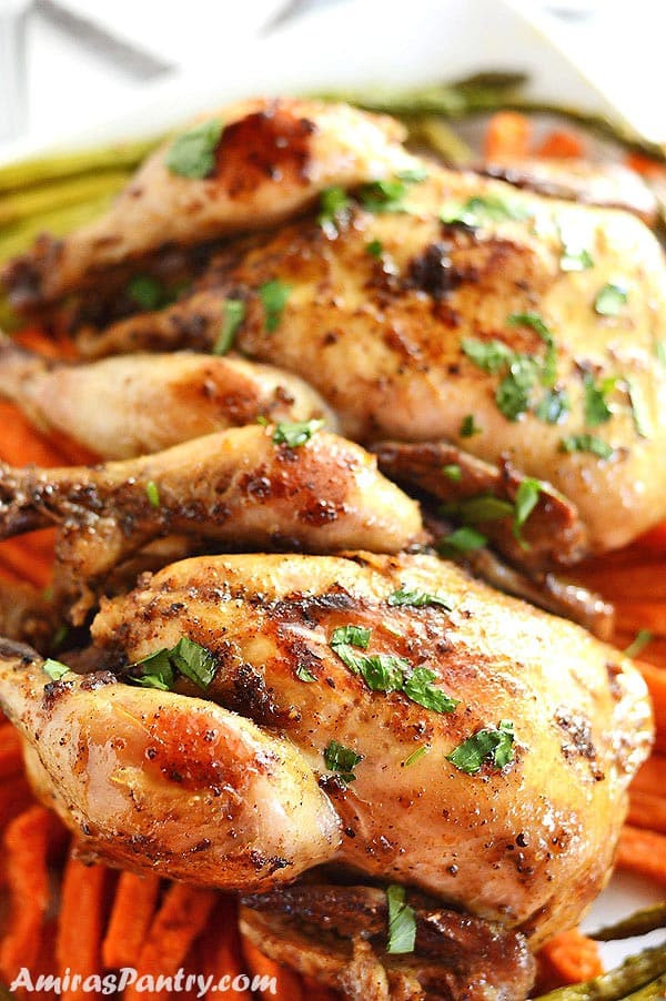 Cornish Game Hens Crockpot Recipes
 Cornish Game Hen Recipe Slow Cooker