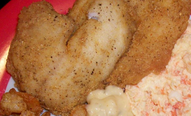 Cornmeal Fish Batter
 Pan Fried Cornmeal Batter Fish Recipe Food