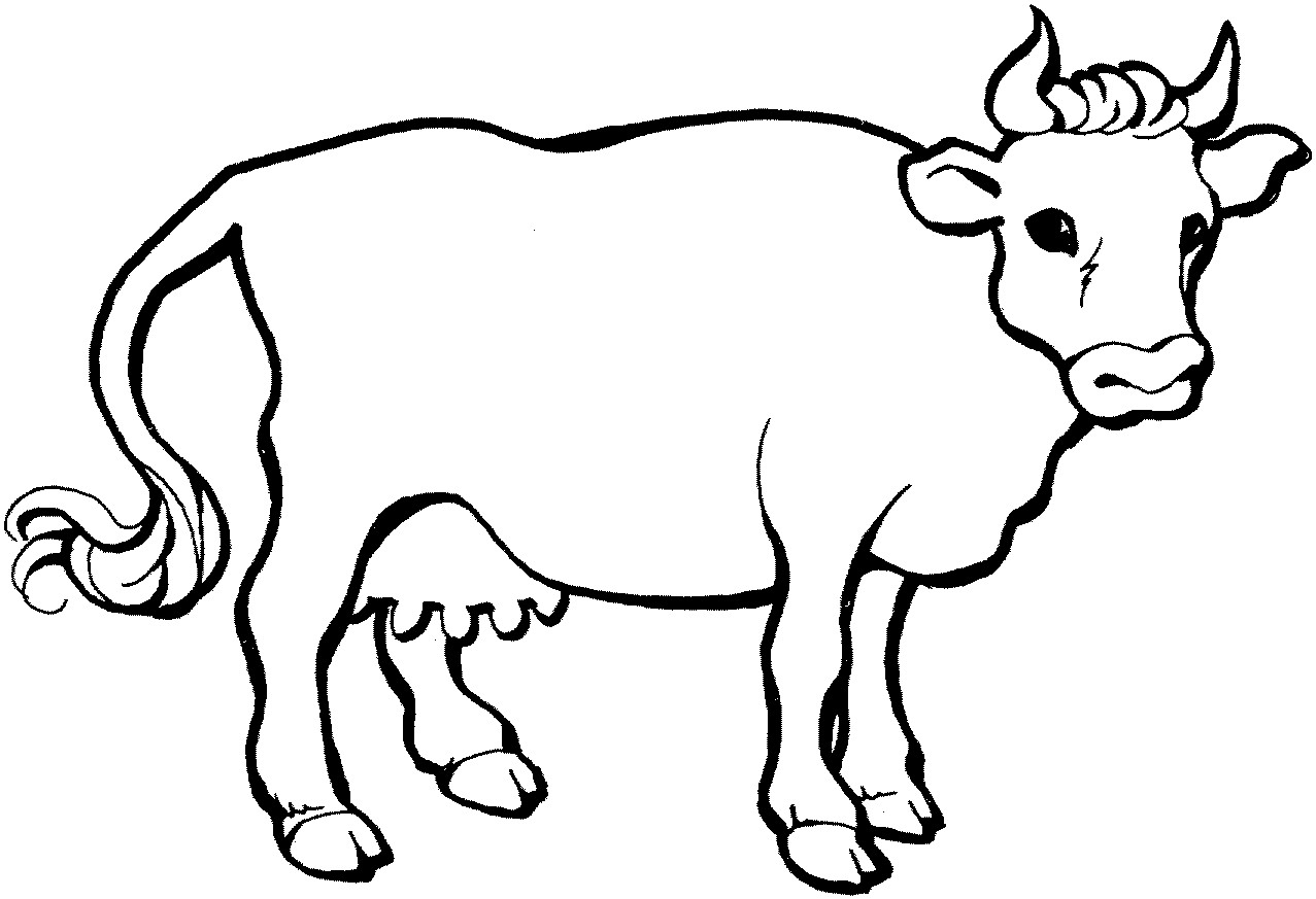 Cow Coloring Pages Free Printable
 Cows coloring pages to and print for free